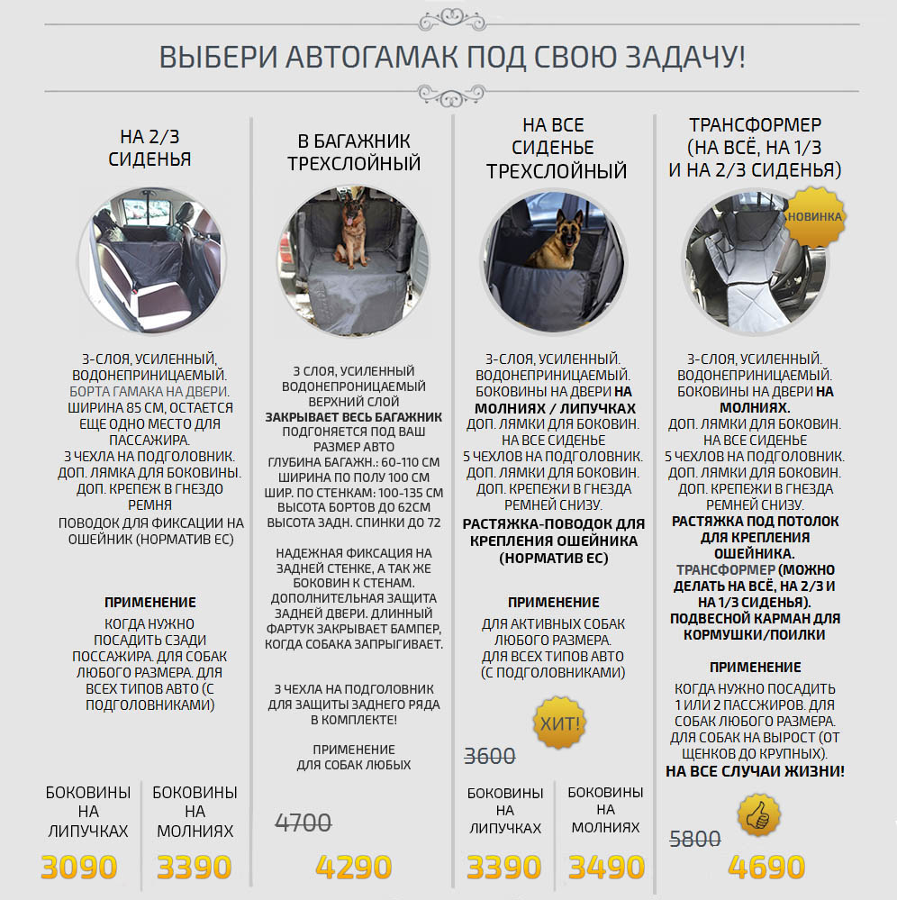 безопасно перевезти собаку авто стоит обратить внимание