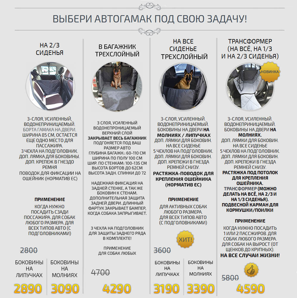 Перевозка собак в машине