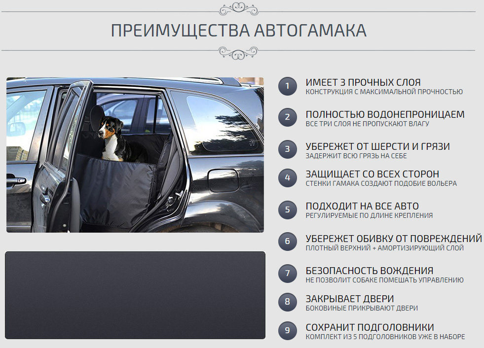 Преимущества Перевозки собак в машине